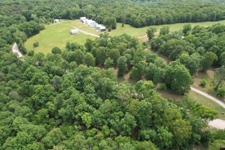 805 MC 8010, Yellville, Arkansas 72687, USA