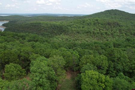 805 MC 8010, Yellville, Arkansas 72687, USA