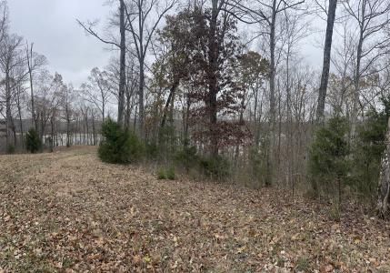 Lot 28 Cumberland Shores , Monticello, Kentucky 42633, États-Unis