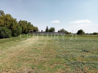 Braniff Barrio santiago Primera seccion S/N,, Zumpango, Estado De Mexico 55600, Mexico