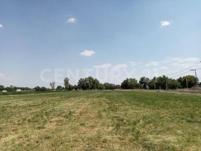 Braniff Barrio santiago Primera seccion S/N,, Zumpango, ولاية مكسيكو 55600, المكسيك