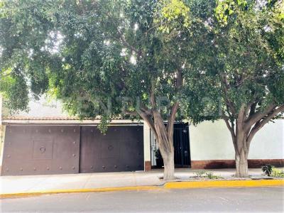 Corina 134,, Coyoacán, Ciudad De México 04100, Mexico