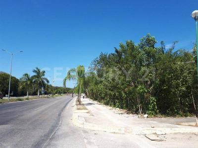 Solidaridad / Riviera Maya, Quintana Roo 77710, Meksika