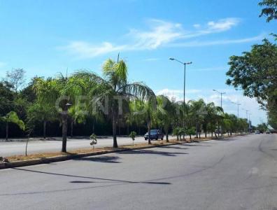 Solidaridad / Riviera Maya, Quintana Roo 77710, Meksika