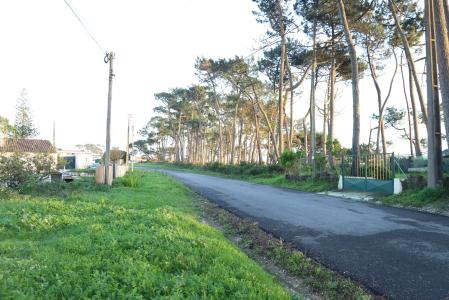 Sintra, Lisbon 2705-413, Portugal