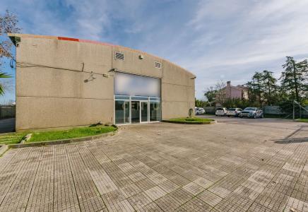 Palmela, Setubal 2955-082, Portugal