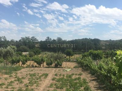 布朗库堡区, 布朗库堡区 6000-388, 葡萄牙