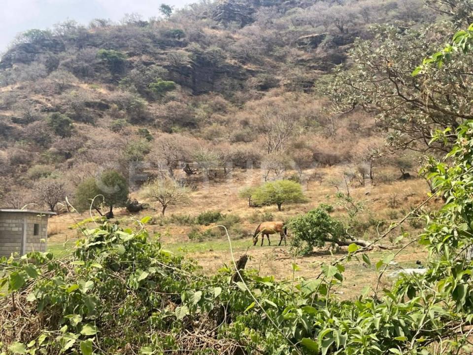 Malinalco, Estado De México 52440, México