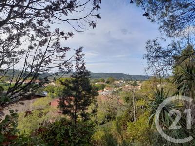 Limoux, Linguadoca-Rossiglione 11300, Francia