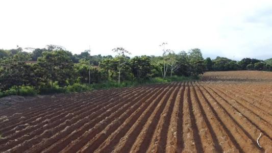 San Isidro del General Pérez Zeledón, San José 11901, Costa Rica