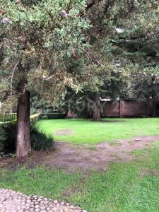 Lafayette 67, Sección Omega, Lt. 6,, Alvaro Obregón, Ciudad De México 01810, Mexico