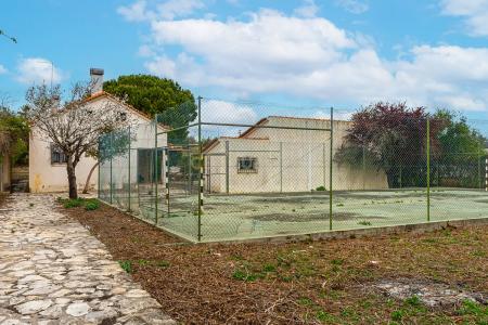 Cartaxo, Santarem 2070-230, Portugal