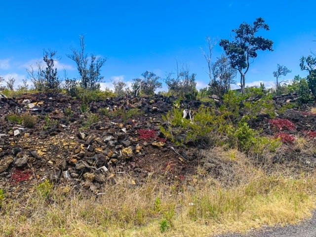 Lot 15 PINEAPPLE PKWY, Ocean View, Hawaii 96737, États-Unis