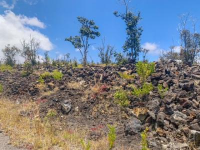 Lot 15 PINEAPPLE PKWY, Ocean View, Hawaii 96737, États-Unis