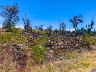 Lot 15 PINEAPPLE PKWY, Ocean View, Hawaii 96737, États-Unis