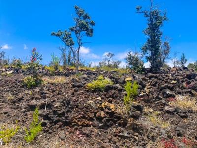 Lot 15 PINEAPPLE PKWY, Ocean View, Hawaii 96737, États-Unis