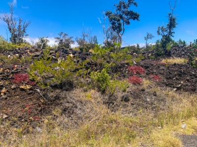 Lot 15 PINEAPPLE PKWY, Ocean View, Hawaii 96737, États-Unis