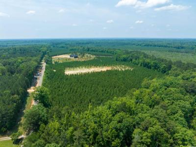 Lot 2 Oilwell Road, Traskwood, Arkansas 72167, Stati Uniti