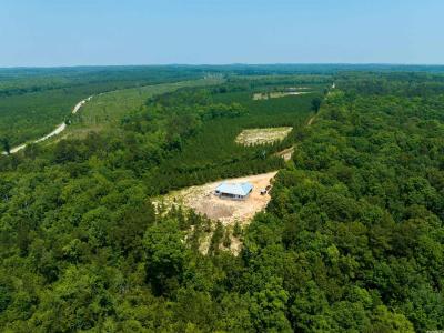 Lot 2 Oilwell Road, Traskwood, Arkansas 72167, Stati Uniti