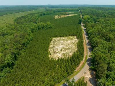 Lot 2 Oilwell Road, Traskwood, Arkansas 72167, Stati Uniti
