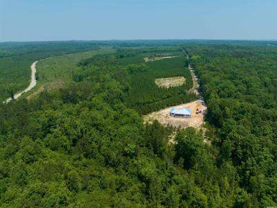Lot 2 Oilwell Road, Traskwood, Arkansas 72167, Stati Uniti