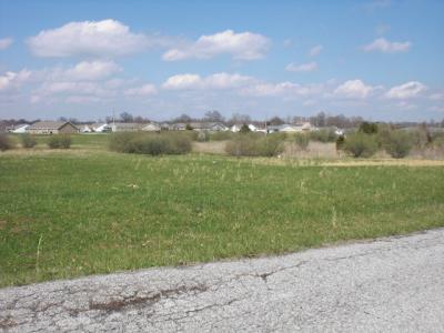 5651 Arctic Fox Dr, Carterville, Illinois 62918