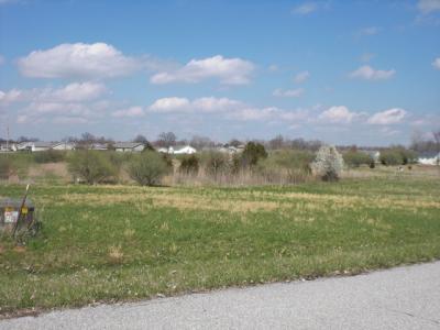5651 Arctic Fox Dr, Carterville, Illinois 62918