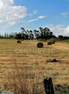 ruta 87 km 45.100 000, Salinas, Canelones 00001, Uruguay