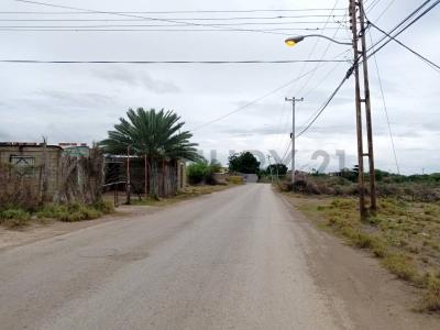 Calle Camino Real S/N, San Juan Bautista, Nueva Esparta 6320, Venezuela