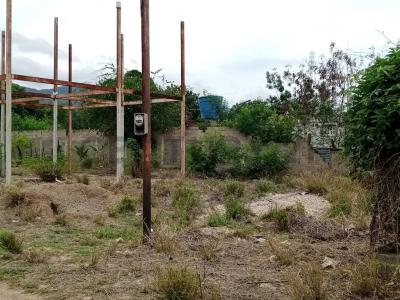 Calle Camino Real S/N, San Juan Bautista, Nueva Esparta 6320, Venezuela