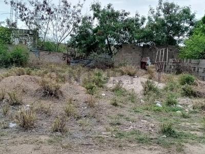 Calle Camino Real S/N, San Juan Bautista, Nueva Esparta 6320, Venezuela
