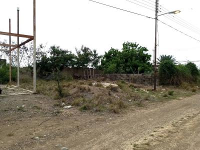 Calle Camino Real S/N, San Juan Bautista, Nueva Esparta 6320, Venezuela