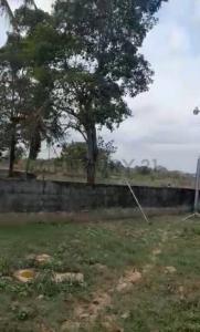 San José De Perijá, Zulia 00001, Venezuela