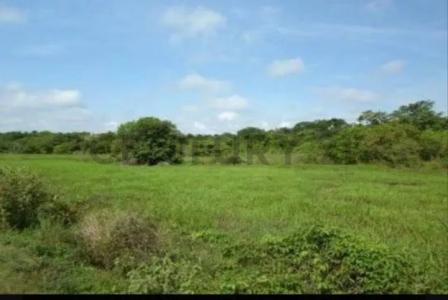 San José De Perijá, Zulia 00001, Venezuela