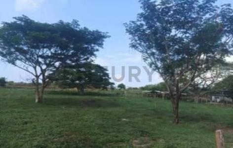 San José De Perijá, Zulia 00001, Venezuela