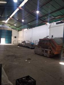 Maracay, Aragua 2101, Wenezuela