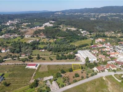 Vila Nova De Poiares, Coimbra 3350-071, Portugal