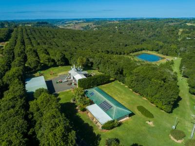 Dunoon, NSW 2480, Australia
