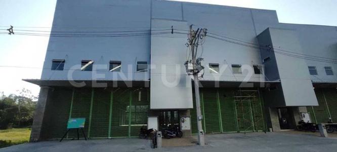 Urabá, Antioquia 057841, Colombia