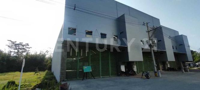Urabá, アンティオキア 057841, コロンビア