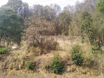 Jilotzingo, Meksika Eyaleti 54574, Meksika