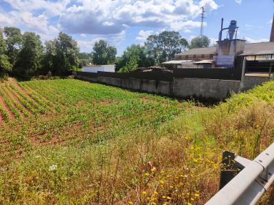 Aveiro, Aveiro 3800-692, Portugal