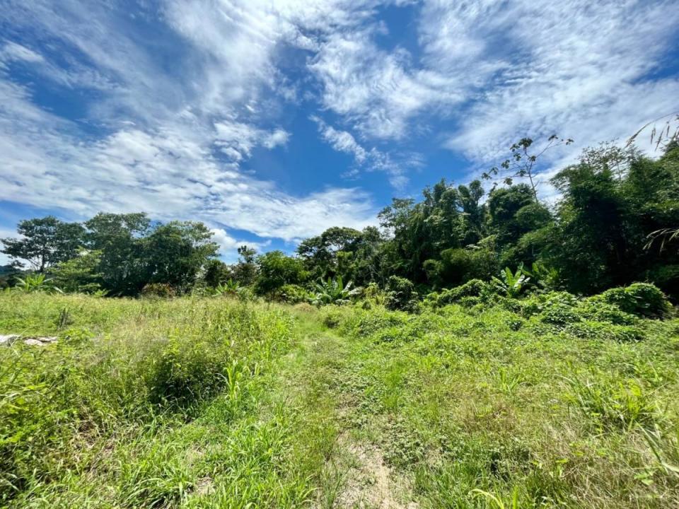 Land For Sale, Puerto Viejo Playa Negra Cahuita Talamanca Limón 70403