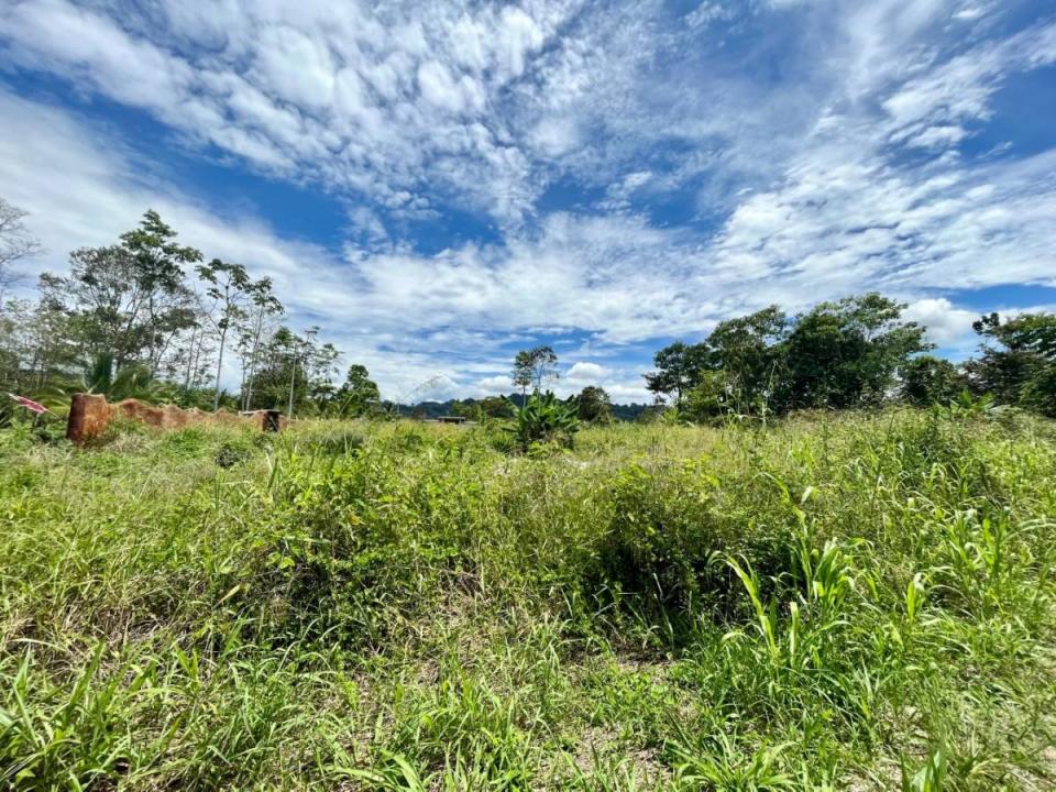 Land For Sale, Puerto Viejo Playa Negra Cahuita Talamanca Limón 70403