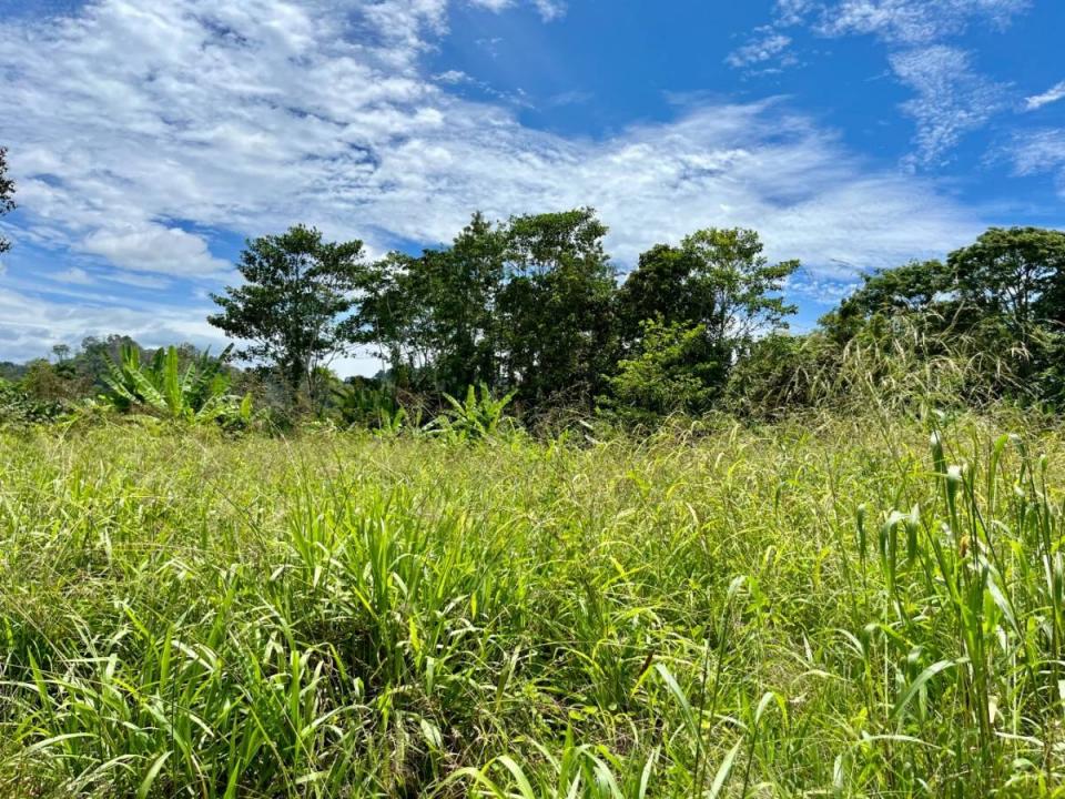 Land For Sale, Puerto Viejo Playa Negra Cahuita Talamanca Limón 70403