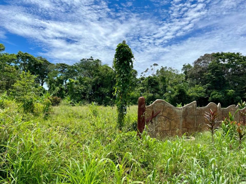 Land For Sale, Puerto Viejo Playa Negra Cahuita Talamanca Limón 70403