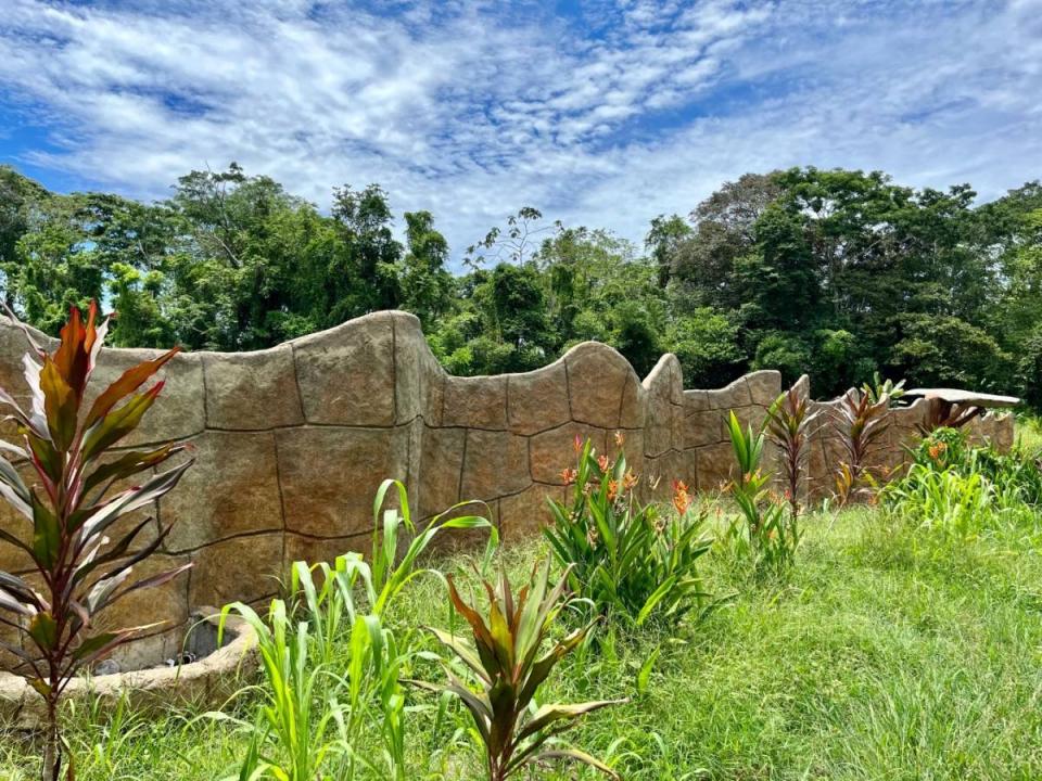 Land For Sale, Puerto Viejo Playa Negra Cahuita Talamanca Limón 70403