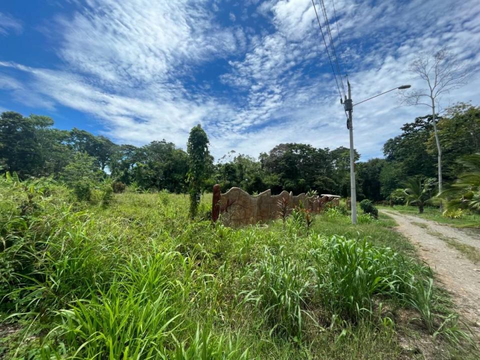 Land For Sale, Puerto Viejo Playa Negra Cahuita Talamanca Limón 70403