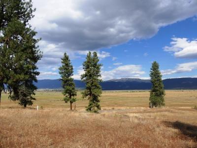 Lot 24 Timber Ridge Drive 24, New Meadows, Idaho 83654, Amerika Birleşik Devletleri