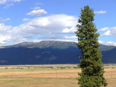 Lot 24 Timber Ridge Drive 24, New Meadows, Idaho 83654, Amerika Birleşik Devletleri